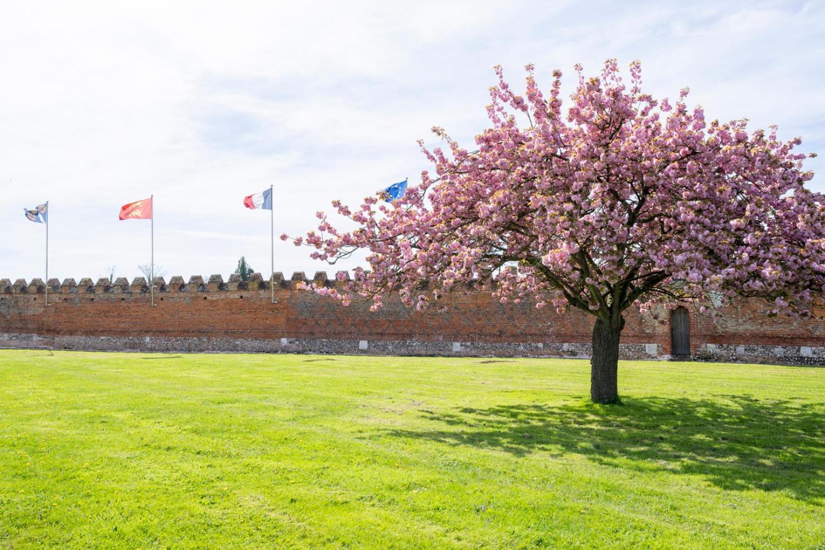 Chateau De Tilly Hotel Boissey-le-Chatel Exterior photo